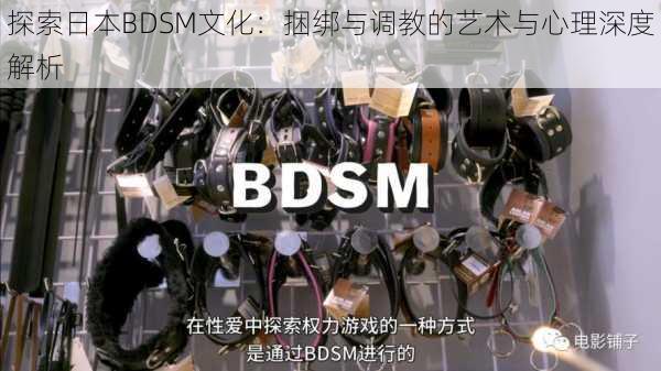 探索日本BDSM文化：捆绑与调教的艺术与心理深度解析