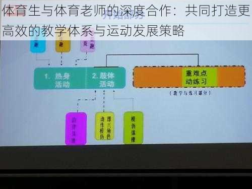 体育生与体育老师的深度合作：共同打造更高效的教学体系与运动发展策略