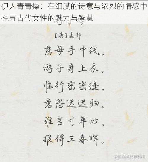 伊人青青操：在细腻的诗意与浓烈的情感中探寻古代女性的魅力与智慧