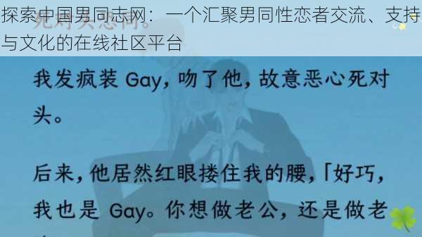 探索中国男同志网：一个汇聚男同性恋者交流、支持与文化的在线社区平台