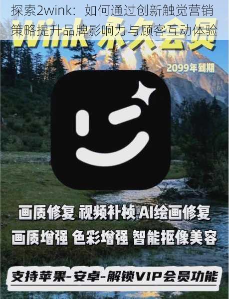 探索2wink：如何通过创新触觉营销策略提升品牌影响力与顾客互动体验