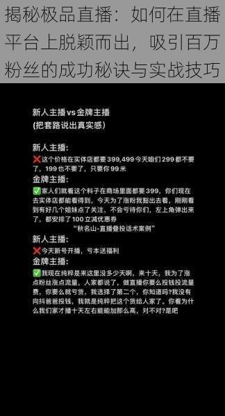 揭秘极品直播：如何在直播平台上脱颖而出，吸引百万粉丝的成功秘诀与实战技巧