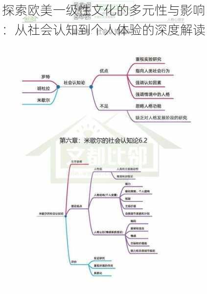 探索欧美一级性文化的多元性与影响：从社会认知到个人体验的深度解读