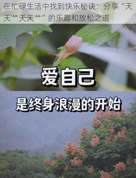 在忙碌生活中找到快乐秘诀：分享“天天艹天天艹”的乐趣和放松之道