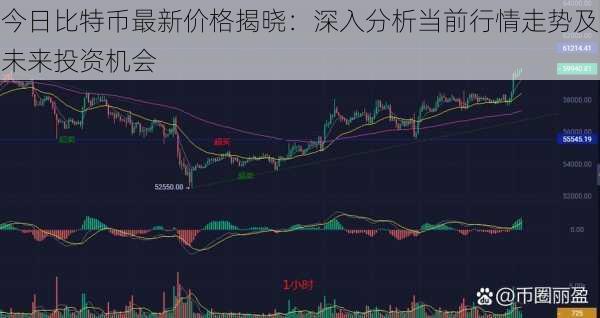 今日比特币最新价格揭晓：深入分析当前行情走势及未来投资机会