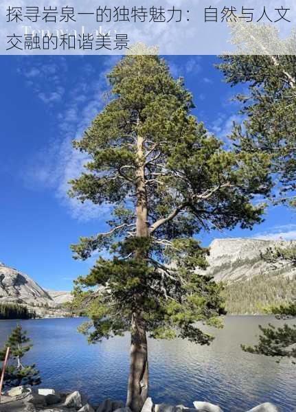 探寻岩泉一的独特魅力：自然与人文交融的和谐美景