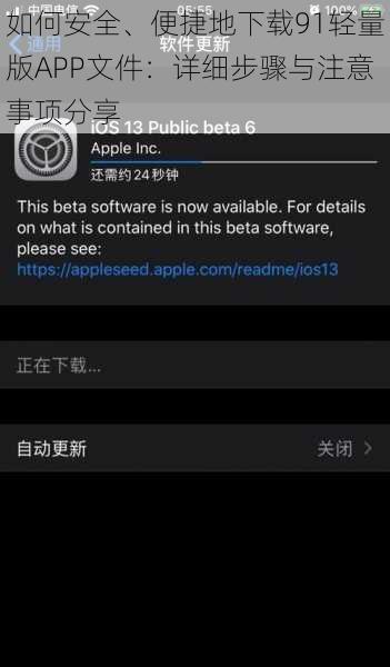 如何安全、便捷地下载91轻量版APP文件：详细步骤与注意事项分享