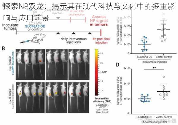 探索NP双龙：揭示其在现代科技与文化中的多重影响与应用前景