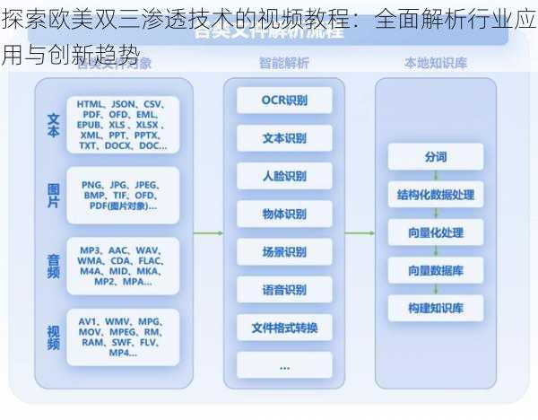 探索欧美双三渗透技术的视频教程：全面解析行业应用与创新趋势