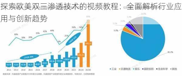 探索欧美双三渗透技术的视频教程：全面解析行业应用与创新趋势