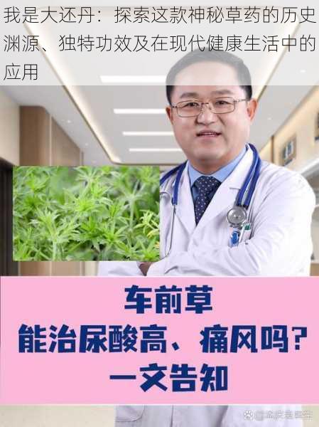 我是大还丹：探索这款神秘草药的历史渊源、独特功效及在现代健康生活中的应用