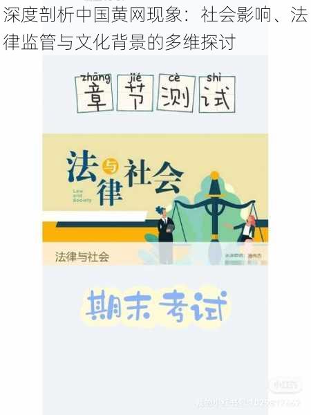 深度剖析中国黄网现象：社会影响、法律监管与文化背景的多维探讨