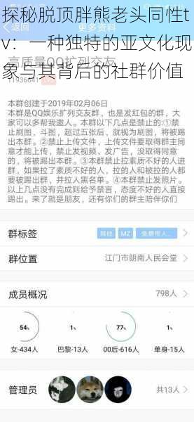 探秘脱顶胖熊老头同性tv：一种独特的亚文化现象与其背后的社群价值