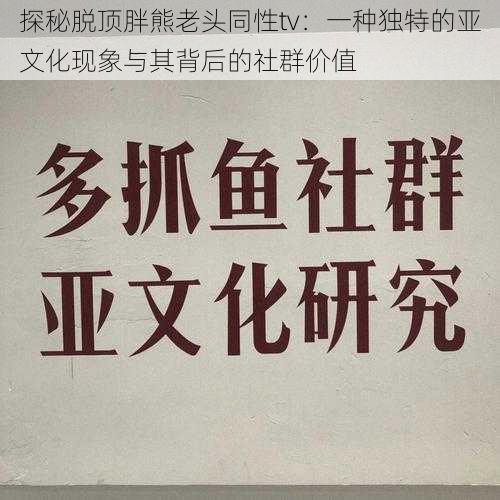 探秘脱顶胖熊老头同性tv：一种独特的亚文化现象与其背后的社群价值