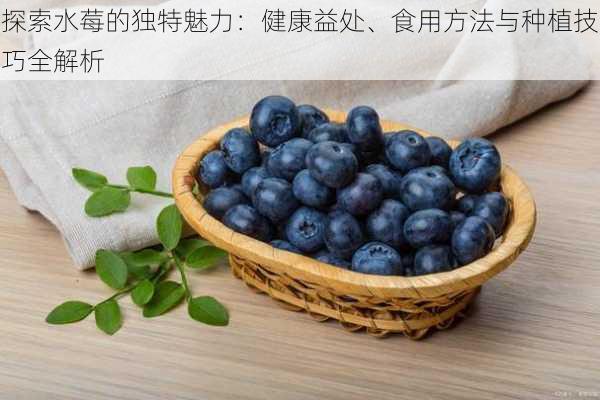 探索水莓的独特魅力：健康益处、食用方法与种植技巧全解析