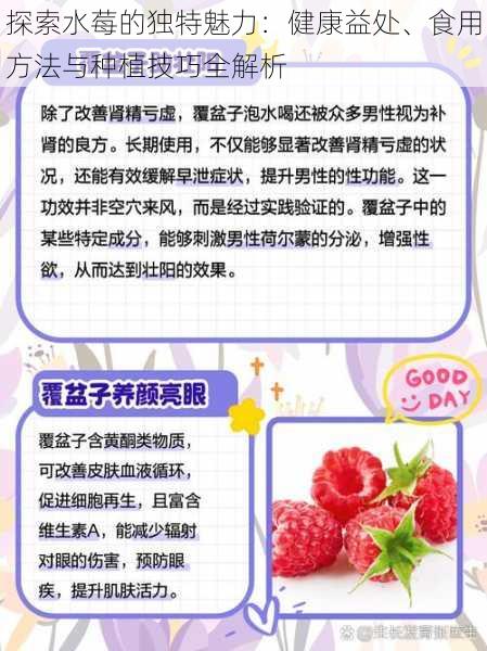 探索水莓的独特魅力：健康益处、食用方法与种植技巧全解析