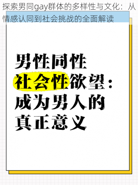 探索男同gay群体的多样性与文化：从情感认同到社会挑战的全面解读