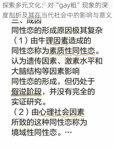 探索多元文化：对“gay粗”现象的深度剖析及其在当代社会中的影响与意义