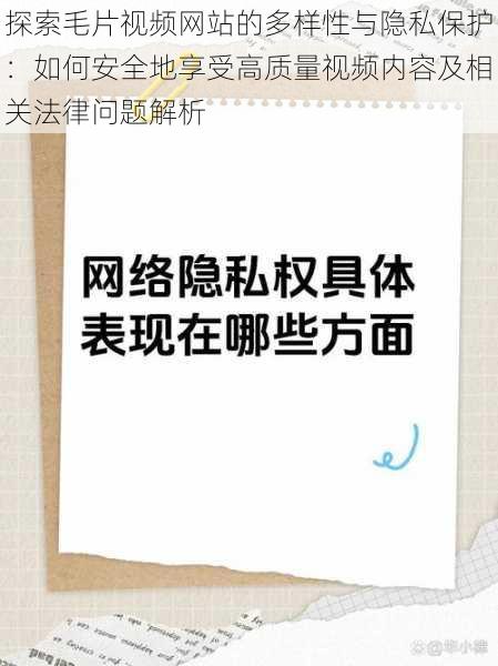 探索毛片视频网站的多样性与隐私保护：如何安全地享受高质量视频内容及相关法律问题解析