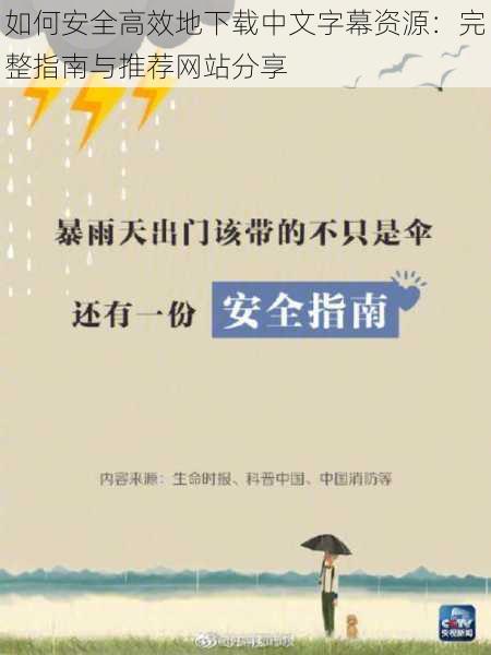 如何安全高效地下载中文字幕资源：完整指南与推荐网站分享