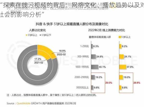 “探索在线污视频的背后：网络文化、播放趋势以及对社会的影响分析”