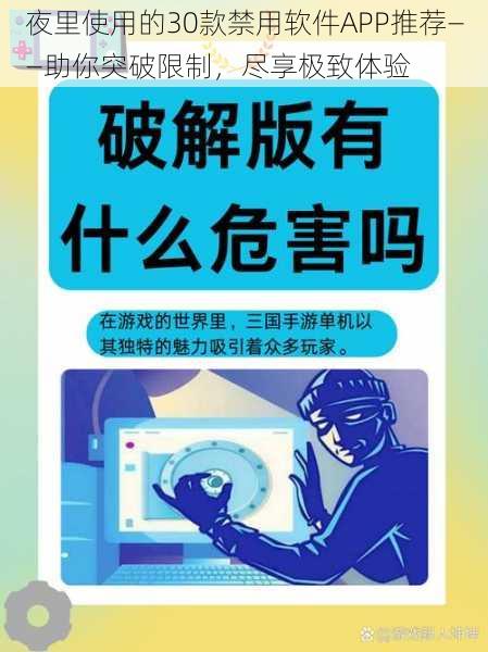 夜里使用的30款禁用软件APP推荐——助你突破限制，尽享极致体验