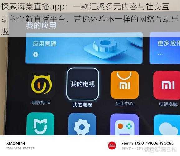 探索海棠直播app：一款汇聚多元内容与社交互动的全新直播平台，带你体验不一样的网络互动乐趣