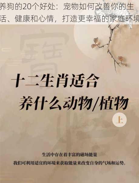 养狗的20个好处：宠物如何改善你的生活、健康和心情，打造更幸福的家庭环境