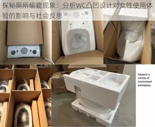 探秘厕所偷窥现象：分析WC凸凹设计对女性使用体验的影响与社会反思