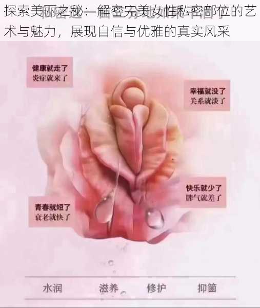 探索美丽之秘：解密完美女性私密部位的艺术与魅力，展现自信与优雅的真实风采