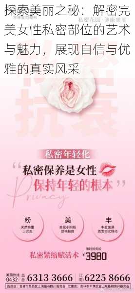 探索美丽之秘：解密完美女性私密部位的艺术与魅力，展现自信与优雅的真实风采