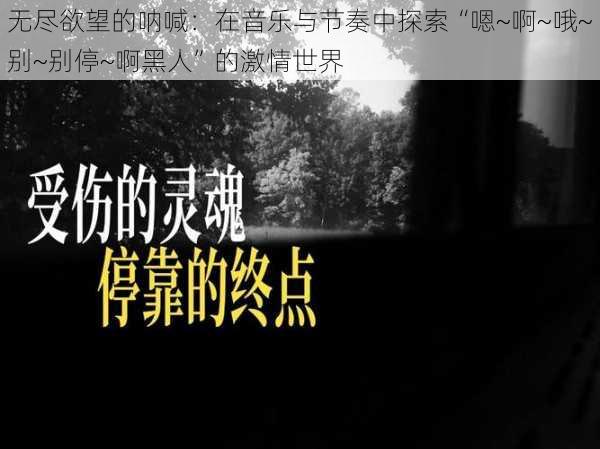 无尽欲望的呐喊：在音乐与节奏中探索“嗯~啊~哦~别~别停~啊黑人”的激情世界