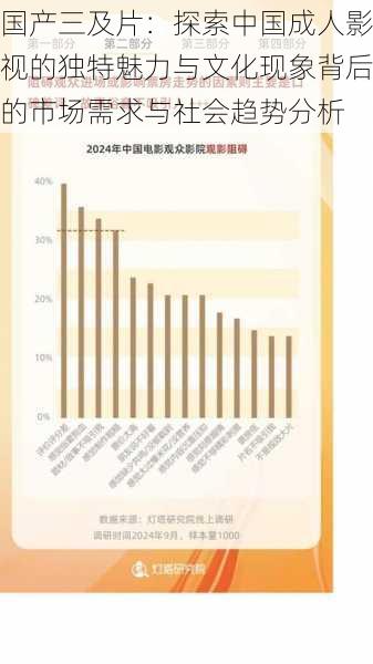 国产三及片：探索中国成人影视的独特魅力与文化现象背后的市场需求与社会趋势分析