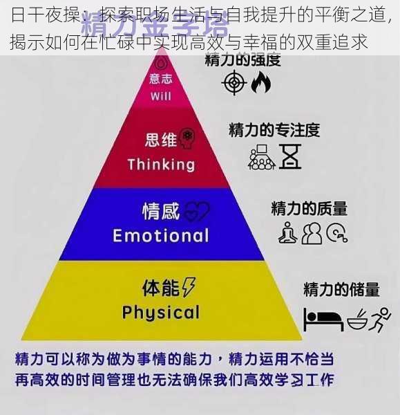 日干夜操：探索职场生活与自我提升的平衡之道，揭示如何在忙碌中实现高效与幸福的双重追求