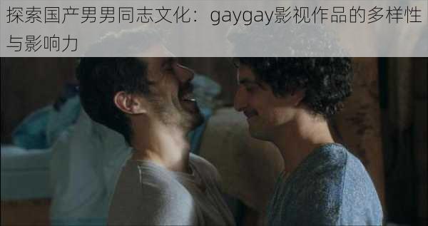 探索国产男男同志文化：gaygay影视作品的多样性与影响力