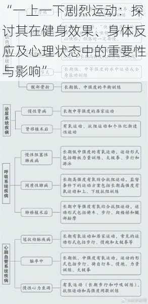 “一上一下剧烈运动：探讨其在健身效果、身体反应及心理状态中的重要性与影响”