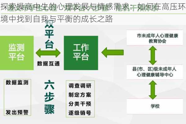 探索操高中生的心理发展与情感需求：如何在高压环境中找到自我与平衡的成长之路