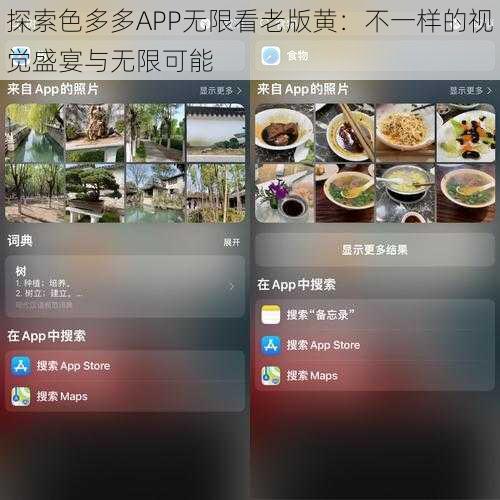 探索色多多APP无限看老版黄：不一样的视觉盛宴与无限可能