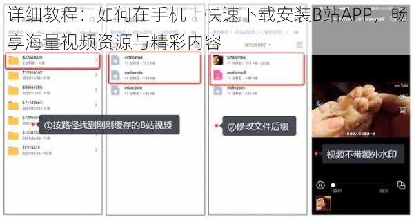 详细教程：如何在手机上快速下载安装B站APP，畅享海量视频资源与精彩内容