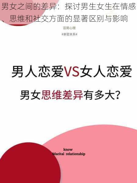 男女之间的差异：探讨男生女生在情感、思维和社交方面的显著区别与影响