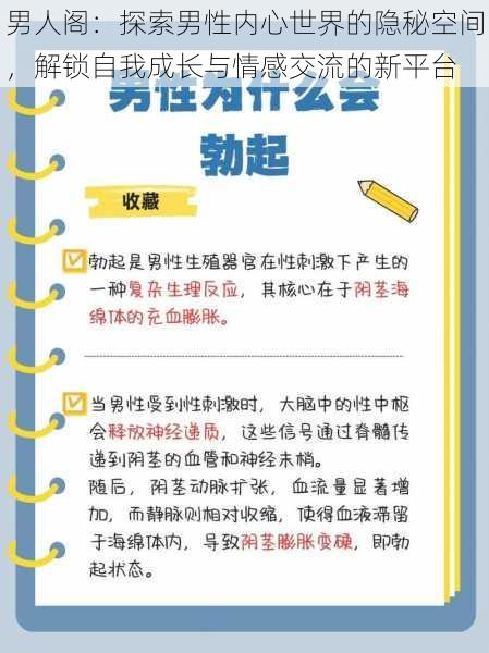 男人阁：探索男性内心世界的隐秘空间，解锁自我成长与情感交流的新平台