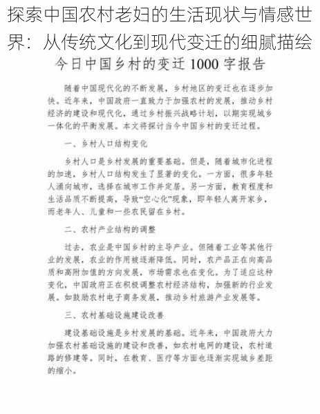 探索中国农村老妇的生活现状与情感世界：从传统文化到现代变迁的细腻描绘