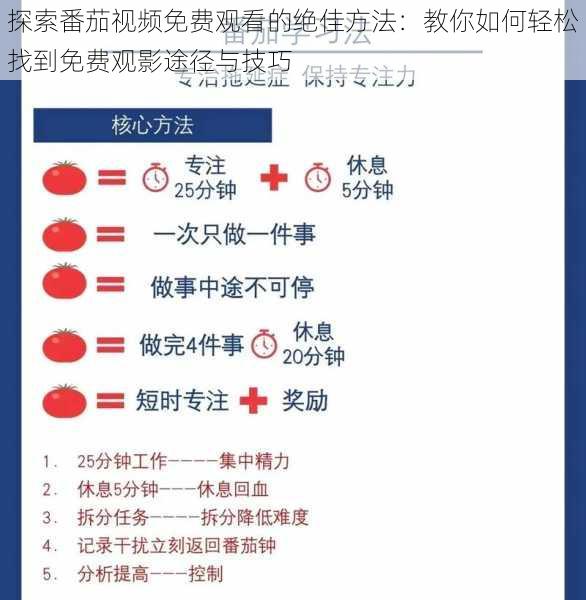 探索番茄视频免费观看的绝佳方法：教你如何轻松找到免费观影途径与技巧