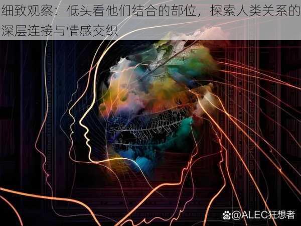 细致观察：低头看他们结合的部位，探索人类关系的深层连接与情感交织