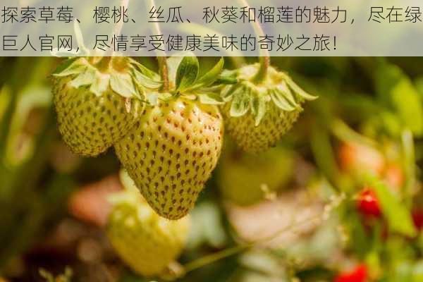 探索草莓、樱桃、丝瓜、秋葵和榴莲的魅力，尽在绿巨人官网，尽情享受健康美味的奇妙之旅！