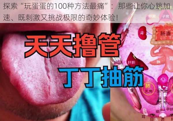 探索“玩蛋蛋的100种方法最痛”：那些让你心跳加速、既刺激又挑战极限的奇妙体验！