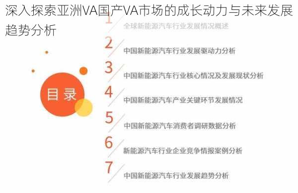 深入探索亚洲VA国产VA市场的成长动力与未来发展趋势分析