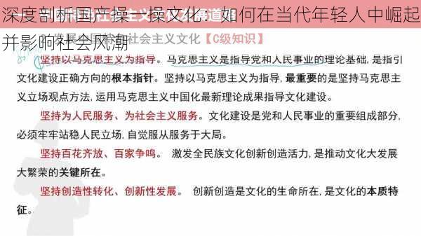 深度剖析国产操一操文化：如何在当代年轻人中崛起并影响社会风潮