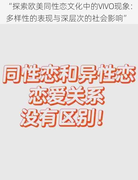 “探索欧美同性恋文化中的VIVO现象：多样性的表现与深层次的社会影响”