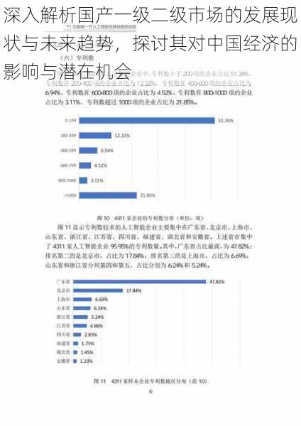 深入解析国产一级二级市场的发展现状与未来趋势，探讨其对中国经济的影响与潜在机会